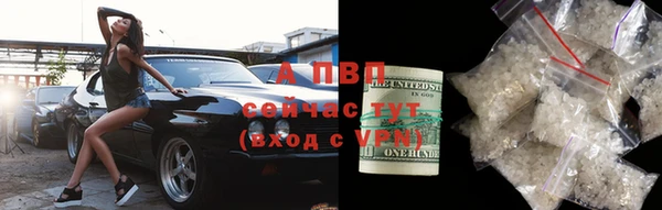 прущие крисы Балахна