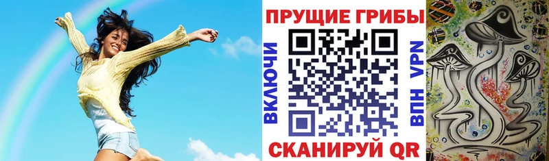 Купить  Суворов  Псилоцибиновые грибы GOLDEN TEACHER 